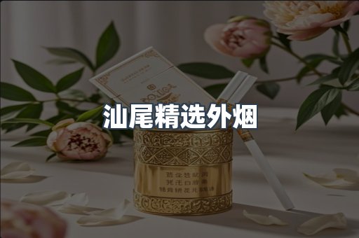汕尾精选外烟